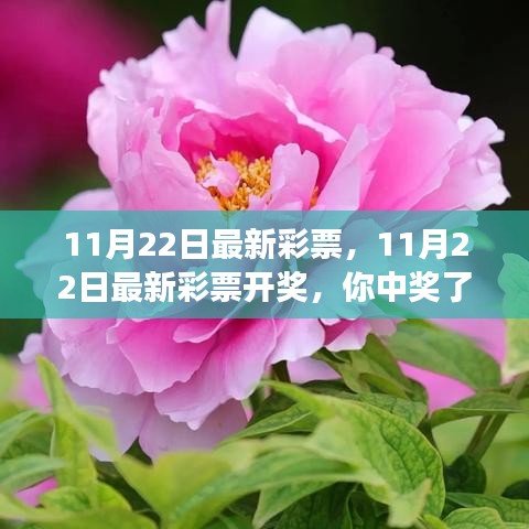 新闻资讯 第238页