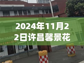 许昌馨景花园最新动态及未来展望，2024年11月22日深度解析