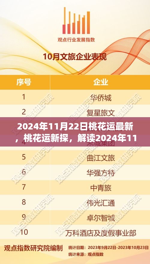 2024年11月22日桃花运深度解析，情感运势与个人观点