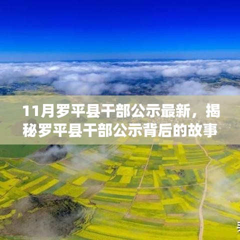 罗平县干部公示最新动态，揭秘背后故事与小巷深处的独特风情