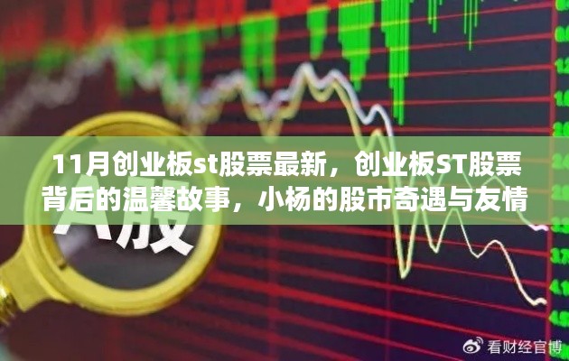 创业板ST股票背后的故事，小杨的股市奇遇与友情纽带最新解析