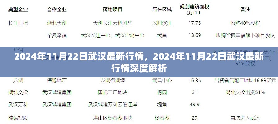 2024年11月22日武汉最新行情深度解析