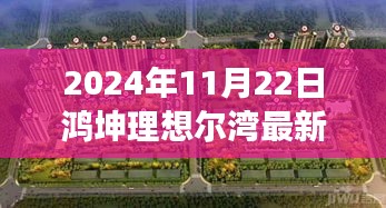 鸿坤理想尔湾最新动态解析，2024年11月22日的观点洞察