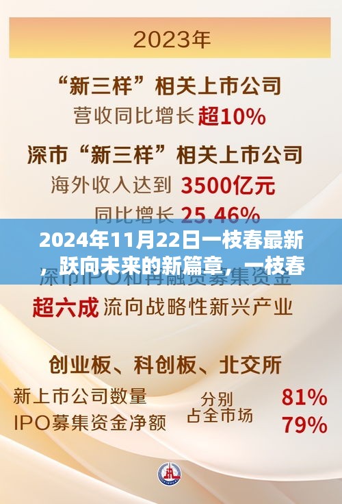 一枝春在2024年11月22日的绽放，跃向未来的新篇章