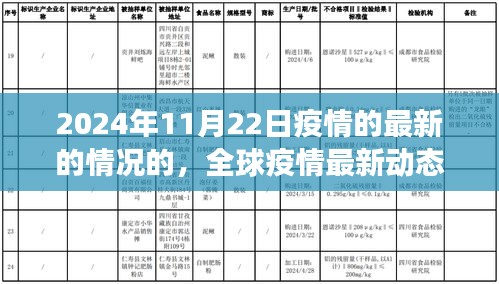 全球疫情最新动态，聚焦2024年11月22日疫情最新进展与最新情况