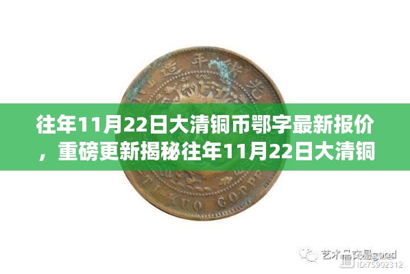 往年11月22日大清铜币鄂字最新报价揭秘，收藏投资热门选择