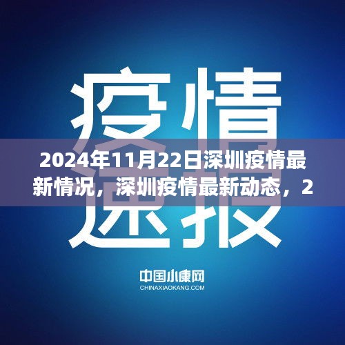 2024年11月22日深圳疫情最新动态与观察反思