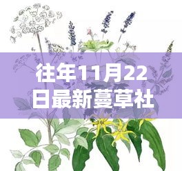 蔓草社区，记录温馨日常的快乐时光（附2017年11月22日精彩瞬间）