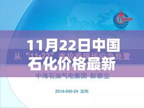 中国石化最新价格动态解析，产品特性、用户体验与目标用户群体全面剖析（11月22日）