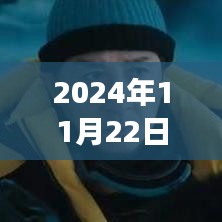 战略狼2，票房背后的温馨故事与友谊的闪耀时刻（2024年11月22日最新票房）