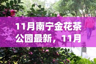 11月南宁金花茶公园，绚烂茶花盛宴启幕，探秘之旅等你来！