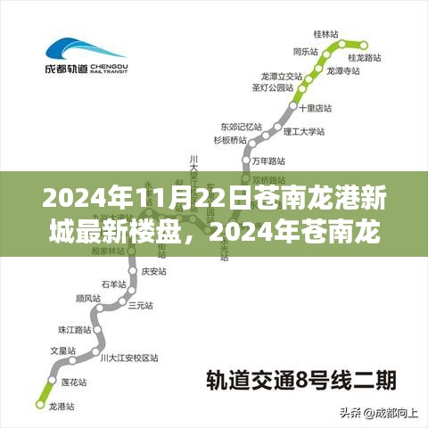 2024年苍南龙港新城最新楼盘购房全攻略，从入门到签约