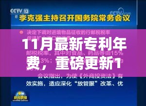 11月专利年费最新标准解读，全面了解专利费用更新情况