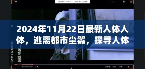 人体与自然美景的奇妙之旅，逃离都市尘嚣的探寻之旅（日期，2024年11月22日）