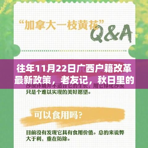 广西户籍改革新政策出炉，秋日里的户籍改革与家的温暖老友记