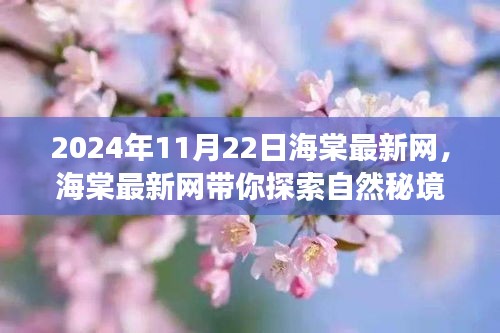 探索自然秘境，海棠最新网带你开启心灵之旅