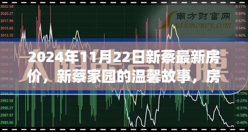 新蔡家园故事，房价背后的友情与爱，2024年最新房价揭晓