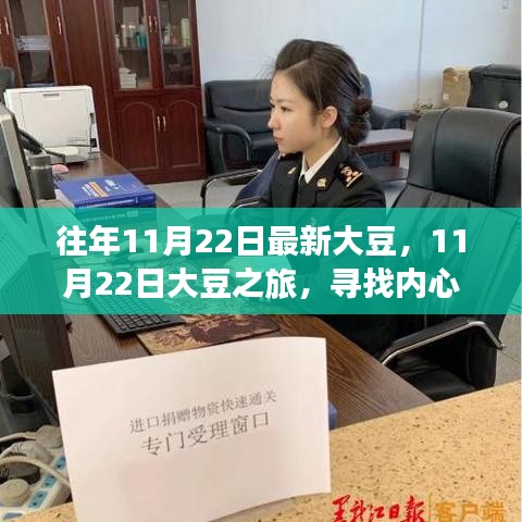 11月22日大豆之旅，探寻内心宁静与自然微笑的路径