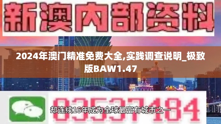 2024年澳门精准免费大全,实践调查说明_极致版BAW1.47