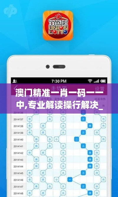 澳门精准一肖一码一一中,专业解读操行解决_共享版GHZ1.53