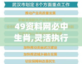 49资料网必中生肖,灵活执行方案_复兴版WDO1.49