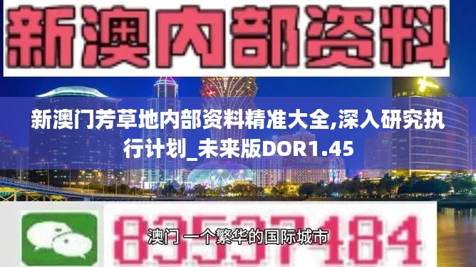 新澳门芳草地内部资料精准大全,深入研究执行计划_未来版DOR1.45