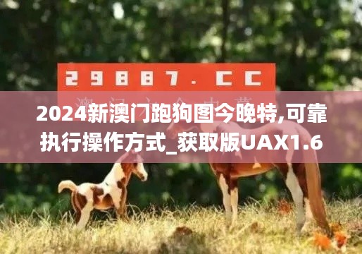 2024新澳门跑狗图今晚特,可靠执行操作方式_获取版UAX1.64