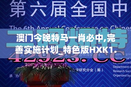 澳门今晚特马一肖必中,完善实施计划_特色版HXK1.11