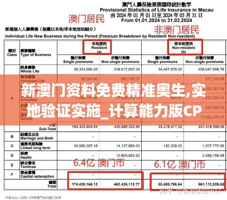 新澳门资料免费精准奥生,实地验证实施_计算能力版CPT1.54