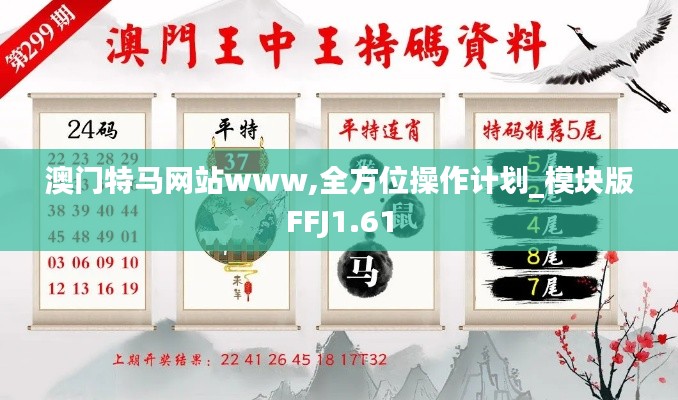 澳门特马网站www,全方位操作计划_模块版FFJ1.61