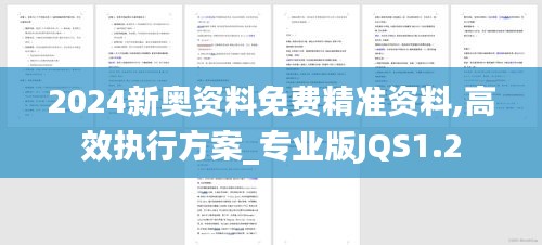 2024新奥资料免费精准资料,高效执行方案_专业版JQS1.2