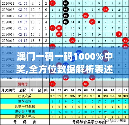 澳门一码一码1000%中奖,全方位数据解析表述_毛坯版ELQ1.48