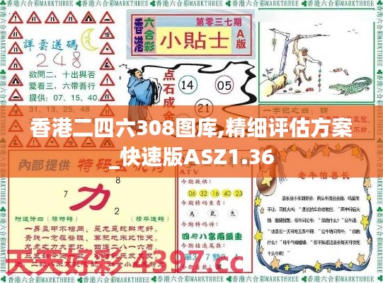 香港二四六308图库,精细评估方案_快速版ASZ1.36