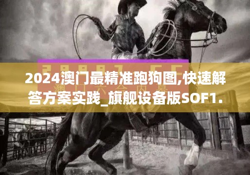 2024澳门最精准跑狗图,快速解答方案实践_旗舰设备版SOF1.69