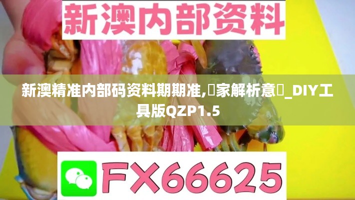 新澳精准内部码资料期期准,專家解析意見_DIY工具版QZP1.5