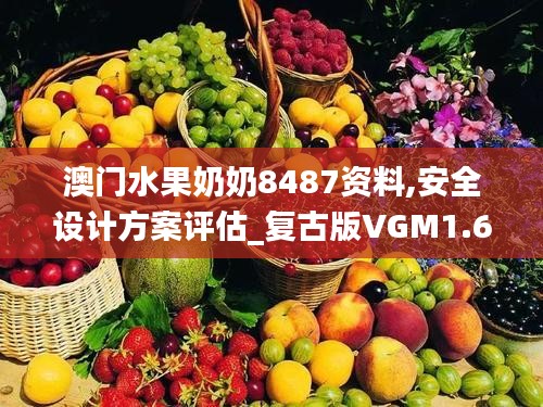 澳门水果奶奶8487资料,安全设计方案评估_复古版VGM1.63