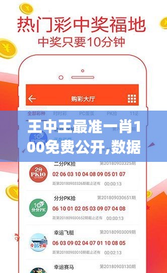 王中王最准一肖100免费公开,数据评估设计_定制版NIT1.3