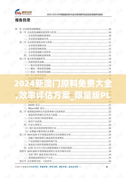 2024新澳门原料免费大全,效率评估方案_限量版PLT1.15