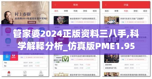 管家婆2024正版资料三八手,科学解释分析_仿真版PME1.95