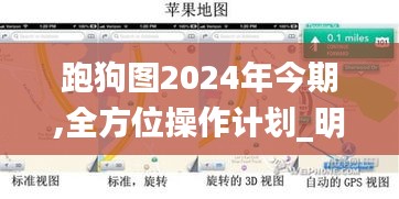 跑狗图2024年今期,全方位操作计划_明亮版BRT1.42