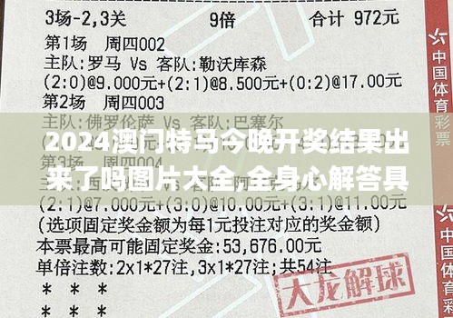 2024澳门特马今晚开奖结果出来了吗图片大全,全身心解答具体_冒险版OHE1.67