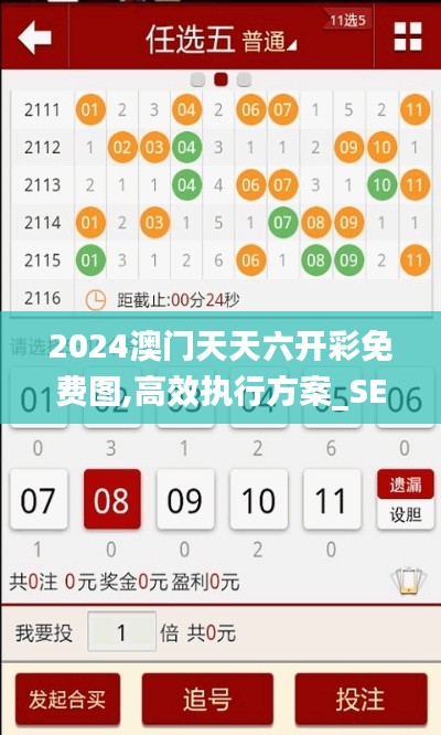 2024澳门天天六开彩免费图,高效执行方案_SE版IFT1.70