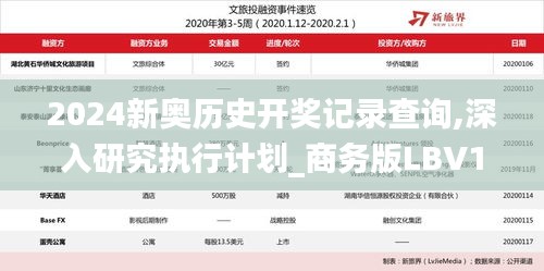 2024新奥历史开奖记录查询,深入研究执行计划_商务版LBV1.1