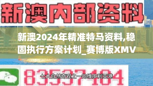 新澳2024年精准特马资料,稳固执行方案计划_赛博版XMV1.66