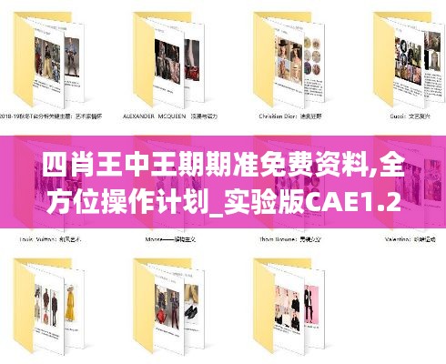 四肖王中王期期准免费资料,全方位操作计划_实验版CAE1.29