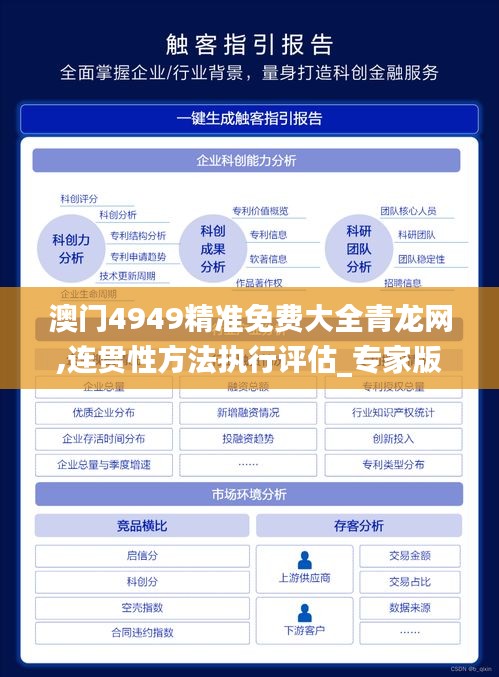 澳门4949精准免费大全青龙网,连贯性方法执行评估_专家版BVZ1.30