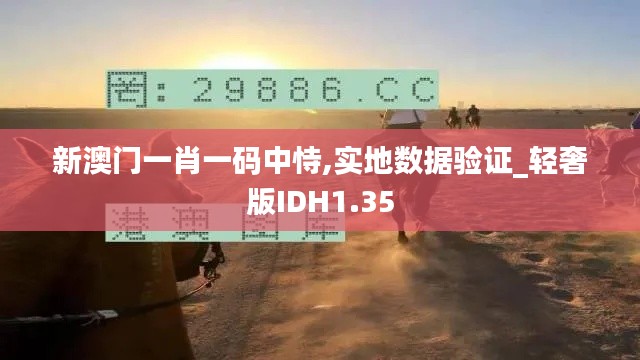 新澳门一肖一码中恃,实地数据验证_轻奢版IDH1.35