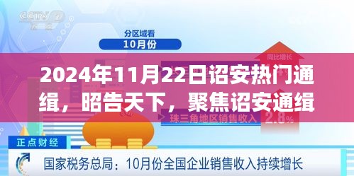 2024年11月22日诏安热门通缉事件，深度剖析与昭告天下