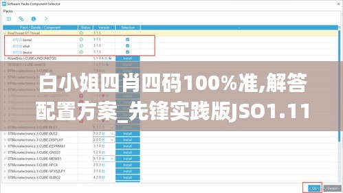 白小姐四肖四码100%准,解答配置方案_先锋实践版JSO1.11