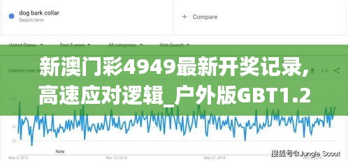 新澳门彩4949最新开奖记录,高速应对逻辑_户外版GBT1.20